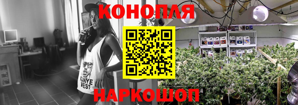Шишки марихуана индика Сочи